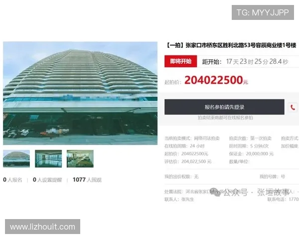 以东升大酒店为核心的城市商务休闲新地标综合发展蓝图前景展望